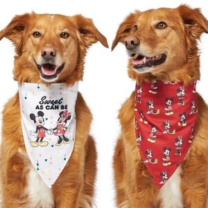 Mickey And Minnie Mouse Reversible Pet Bandana Chewy X Disney Medium/Large